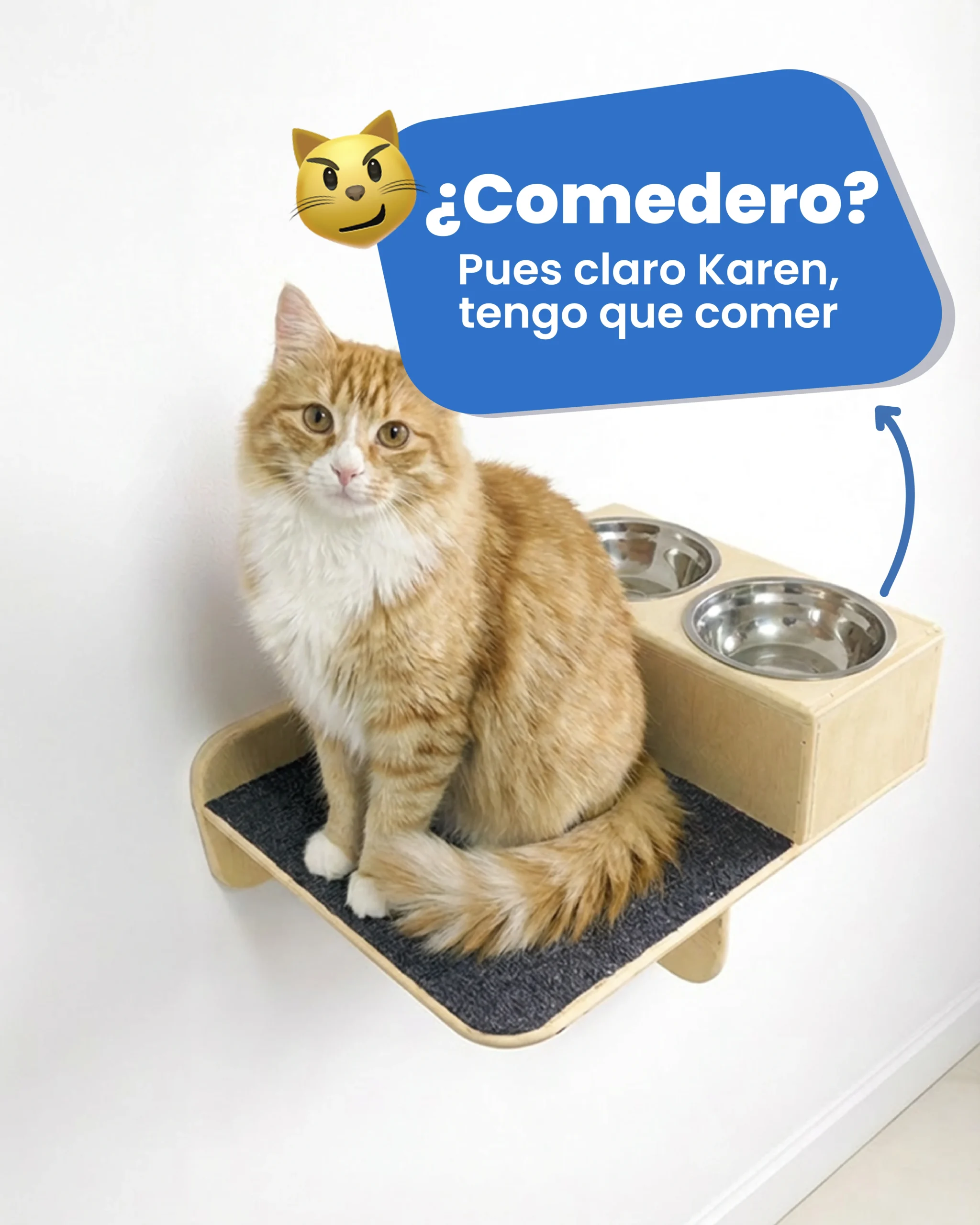 Gimnasios Diseño Premium