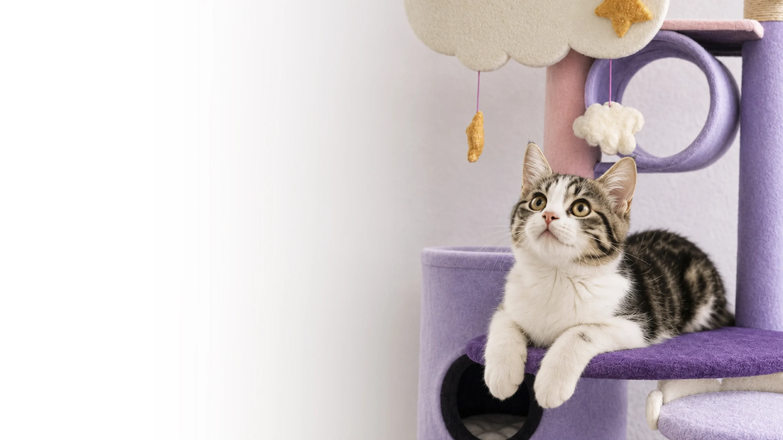 Gimnasios para gatos Fabricats
