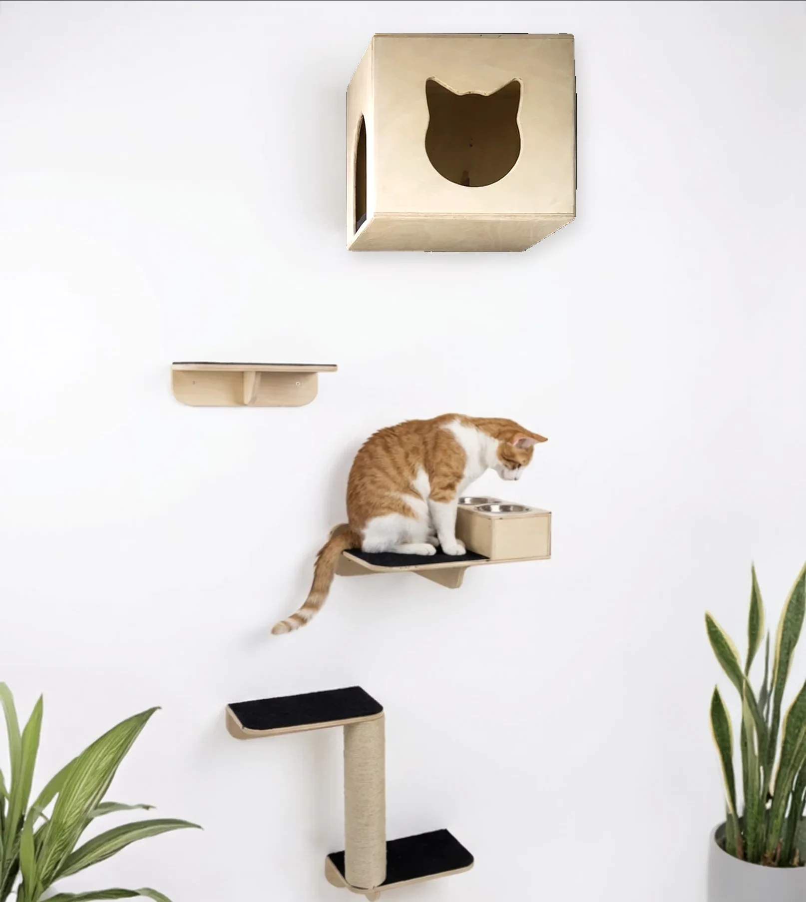 Combo #17 de gimnasio de pared para gatos con casa de cara de gato